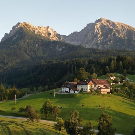 Singerskogel - Ferienhof Und Jausnstub'N シュピタル・アム・ピュールン エクステリア 写真