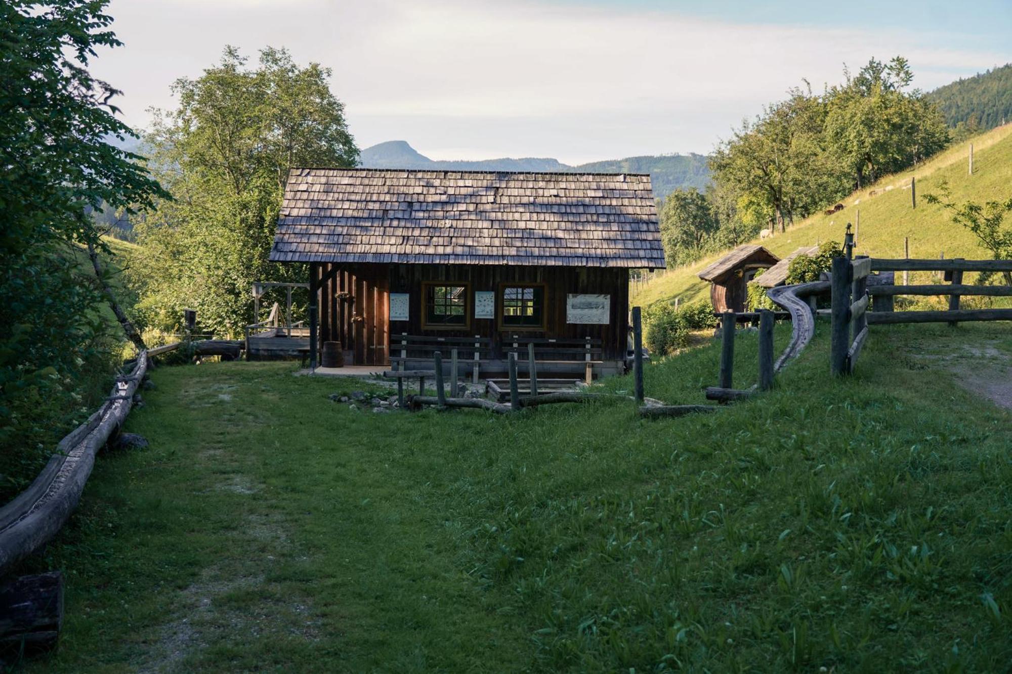 Singerskogel - Ferienhof Und Jausnstub'N シュピタル・アム・ピュールン エクステリア 写真