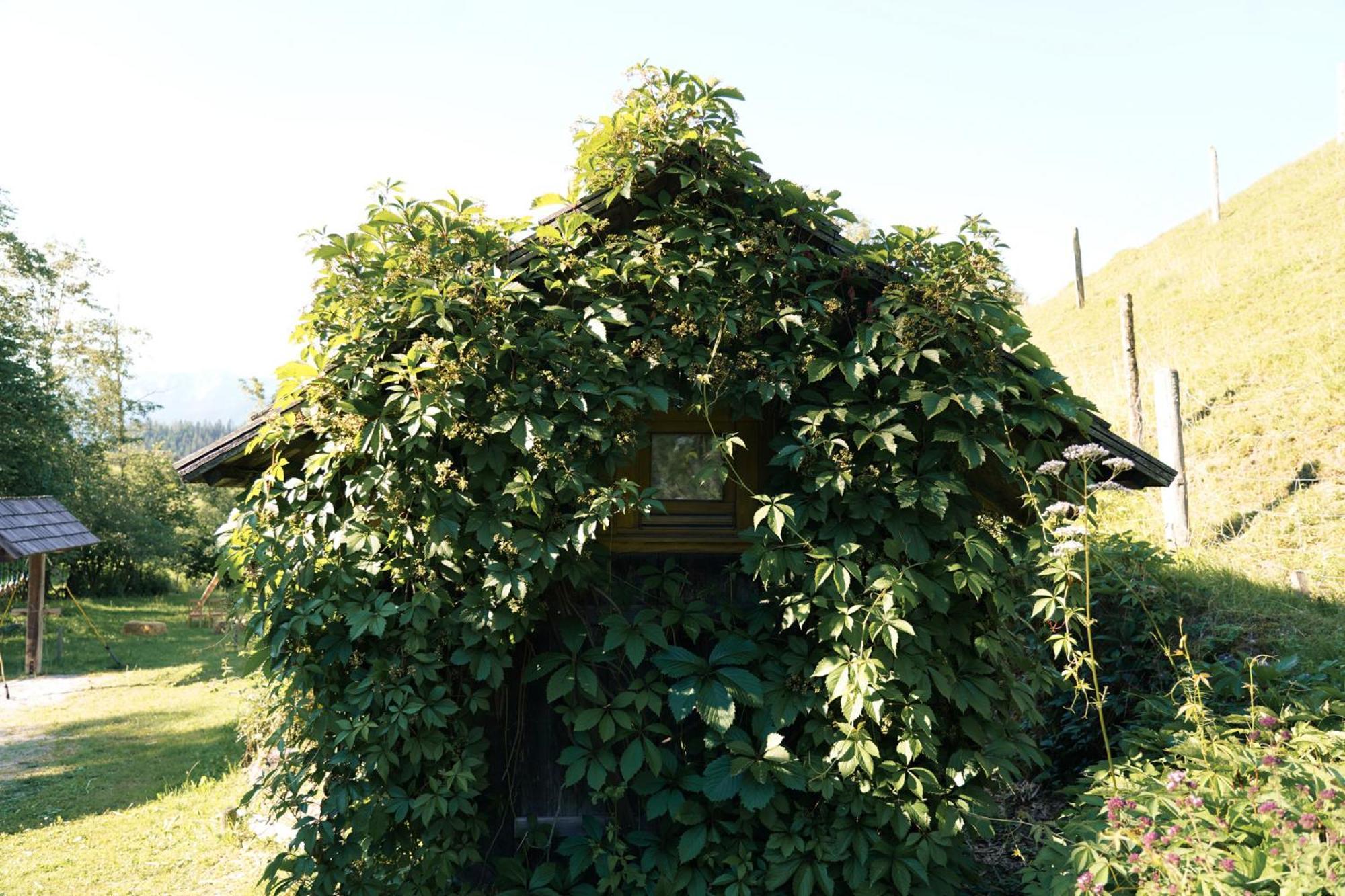 Singerskogel - Ferienhof Und Jausnstub'N シュピタル・アム・ピュールン エクステリア 写真