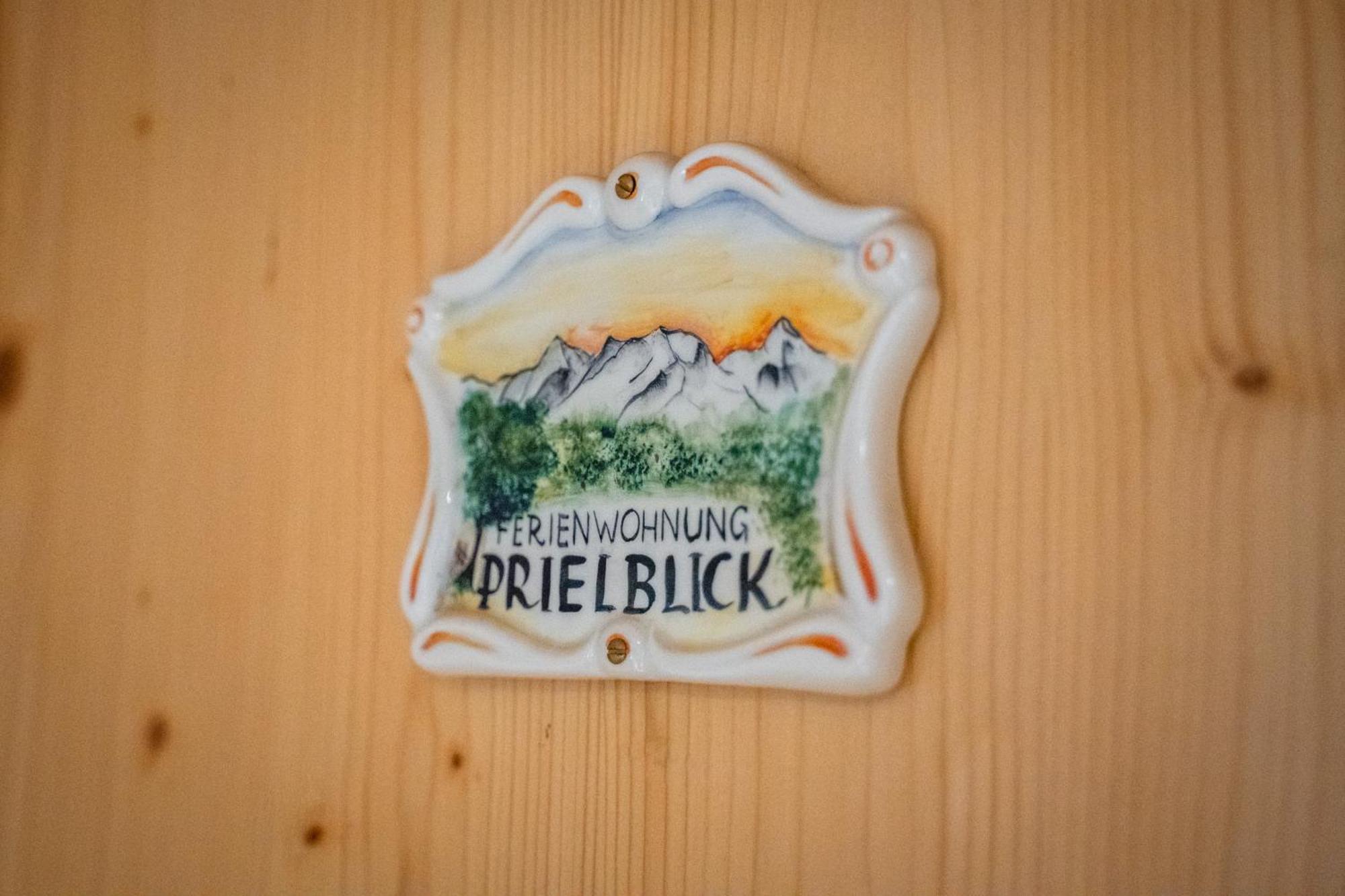 Singerskogel - Ferienhof Und Jausnstub'N シュピタル・アム・ピュールン エクステリア 写真