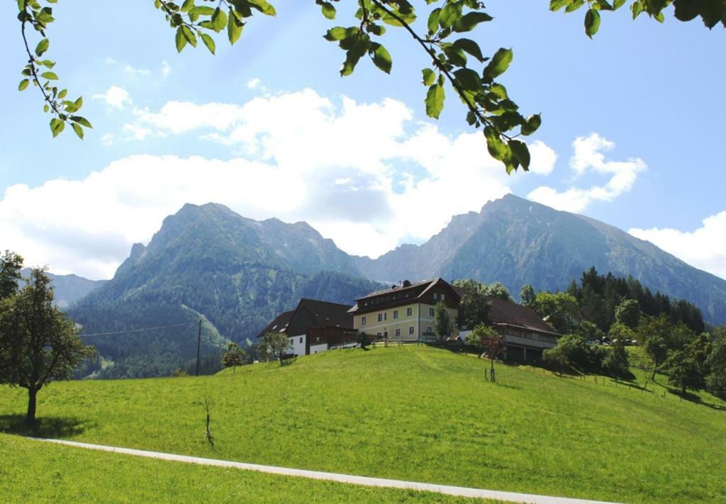 Singerskogel - Ferienhof Und Jausnstub'N シュピタル・アム・ピュールン エクステリア 写真